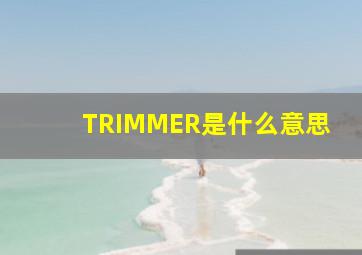 TRIMMER是什么意思