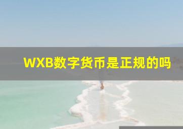 WXB数字货币是正规的吗