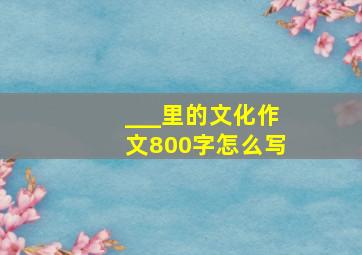 ___里的文化作文800字怎么写