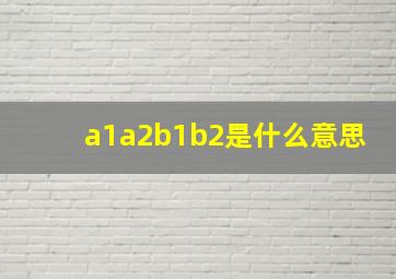 a1a2b1b2是什么意思