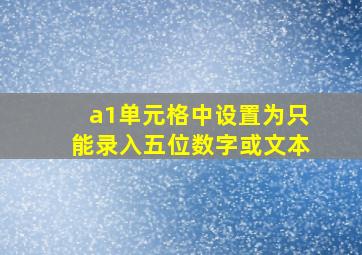 a1单元格中设置为只能录入五位数字或文本