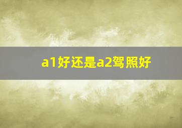 a1好还是a2驾照好