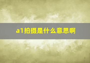 a1拍摄是什么意思啊