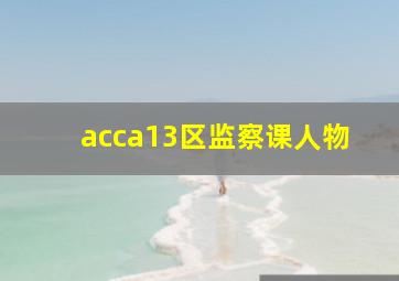 acca13区监察课人物