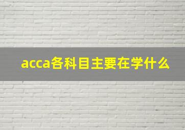 acca各科目主要在学什么