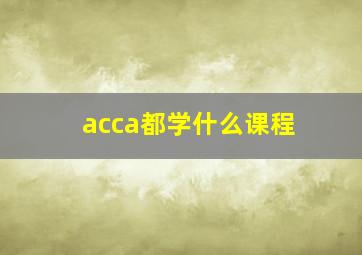 acca都学什么课程