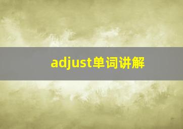 adjust单词讲解