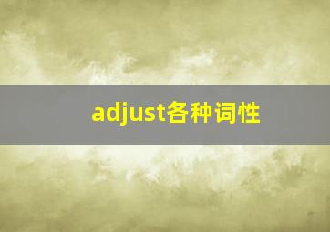 adjust各种词性