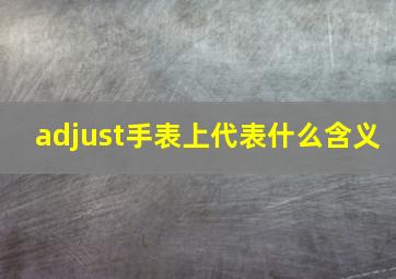 adjust手表上代表什么含义