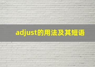 adjust的用法及其短语