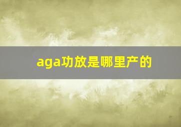 aga功放是哪里产的