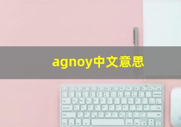 agnoy中文意思