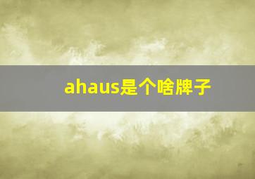 ahaus是个啥牌子