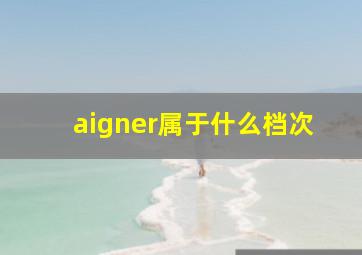 aigner属于什么档次