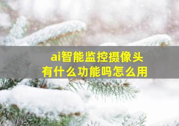 ai智能监控摄像头有什么功能吗怎么用