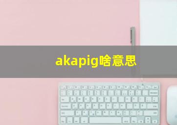 akapig啥意思