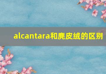 alcantara和麂皮绒的区别