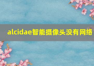 alcidae智能摄像头没有网络