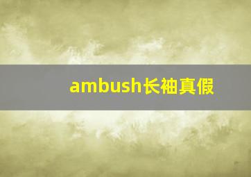 ambush长袖真假