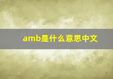 amb是什么意思中文