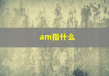 am指什么