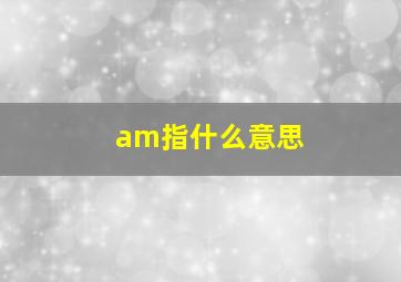 am指什么意思