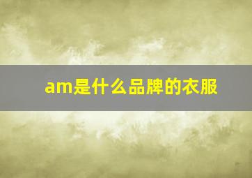 am是什么品牌的衣服