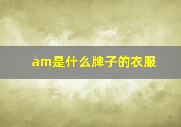 am是什么牌子的衣服