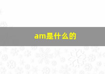 am是什么的