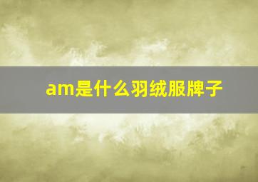 am是什么羽绒服牌子