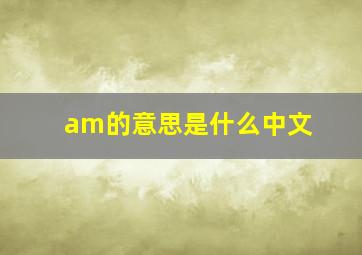 am的意思是什么中文