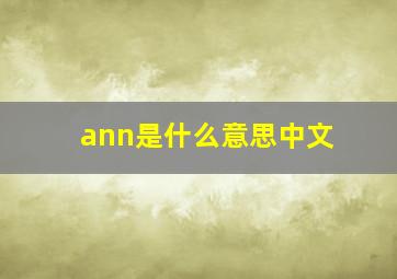 ann是什么意思中文