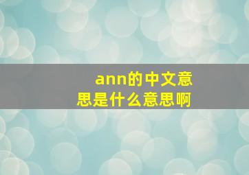 ann的中文意思是什么意思啊