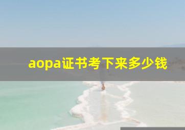 aopa证书考下来多少钱