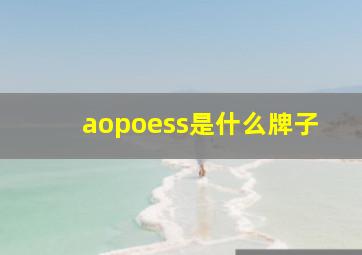 aopoess是什么牌子