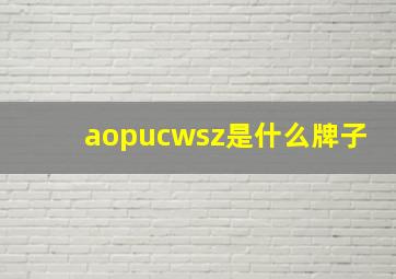 aopucwsz是什么牌子