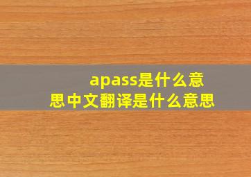 apass是什么意思中文翻译是什么意思