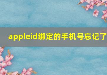 appleid绑定的手机号忘记了