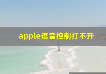 apple语音控制打不开