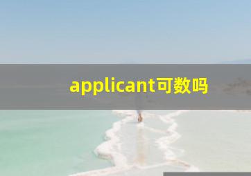 applicant可数吗