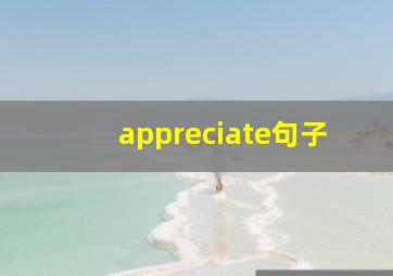 appreciate句子