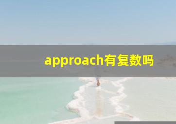 approach有复数吗