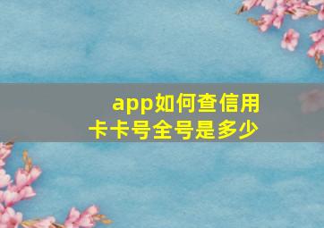 app如何查信用卡卡号全号是多少