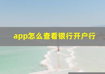 app怎么查看银行开户行