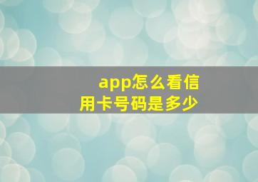 app怎么看信用卡号码是多少