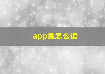 app是怎么读