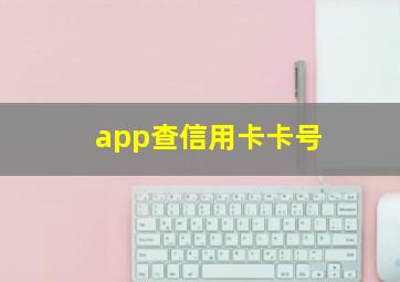 app查信用卡卡号