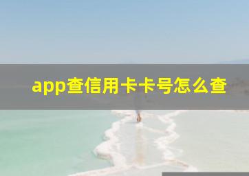 app查信用卡卡号怎么查