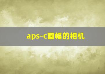 aps-c画幅的相机