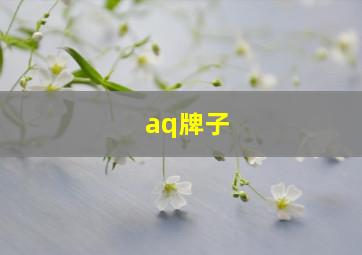 aq牌子